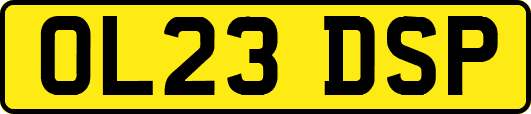 OL23DSP