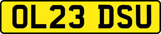 OL23DSU