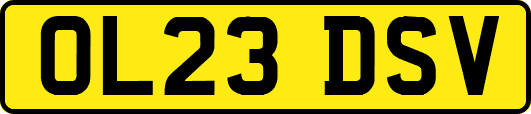 OL23DSV