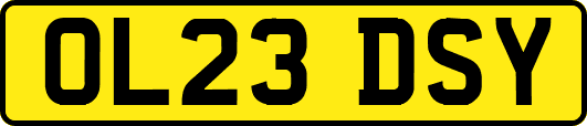 OL23DSY