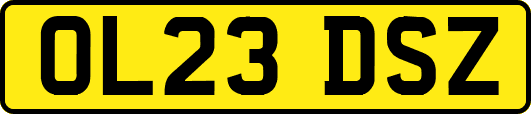 OL23DSZ