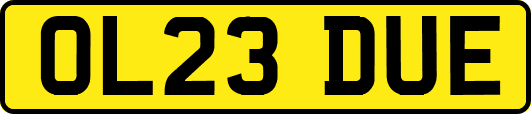 OL23DUE