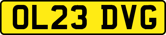 OL23DVG