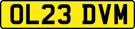 OL23DVM