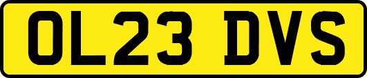 OL23DVS