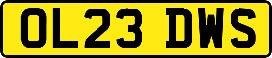 OL23DWS