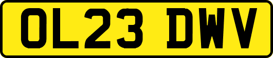 OL23DWV