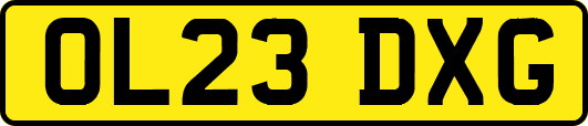 OL23DXG