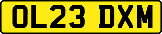 OL23DXM