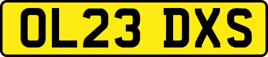 OL23DXS