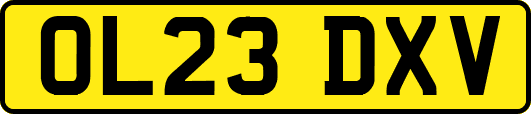 OL23DXV