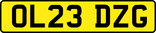 OL23DZG