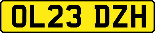 OL23DZH
