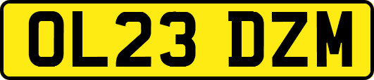 OL23DZM