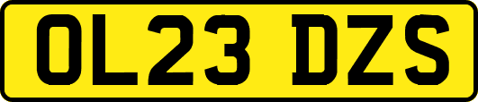 OL23DZS