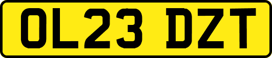 OL23DZT