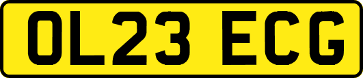 OL23ECG