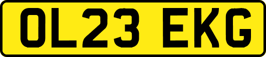 OL23EKG
