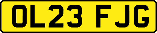 OL23FJG