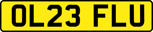 OL23FLU