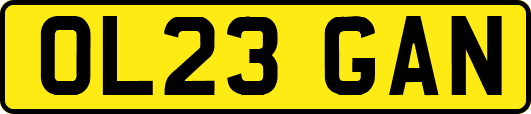 OL23GAN