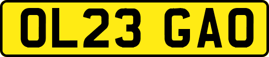 OL23GAO