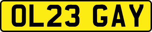 OL23GAY
