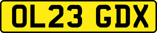 OL23GDX