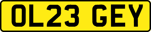 OL23GEY