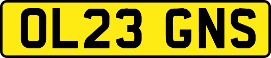 OL23GNS