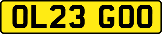 OL23GOO