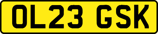 OL23GSK
