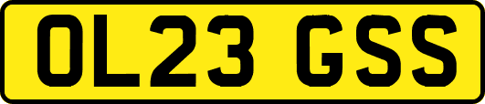 OL23GSS