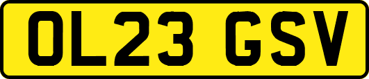 OL23GSV