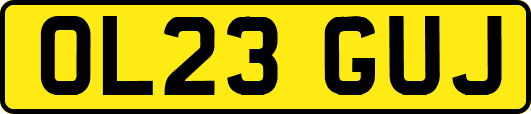 OL23GUJ