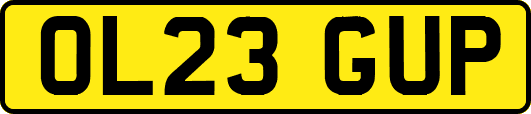 OL23GUP