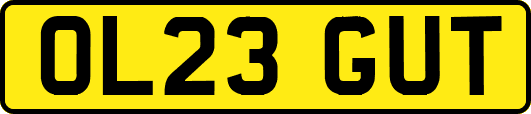 OL23GUT