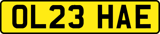 OL23HAE