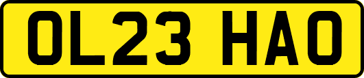 OL23HAO