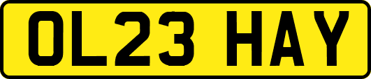 OL23HAY