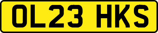 OL23HKS