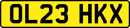 OL23HKX