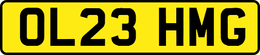 OL23HMG