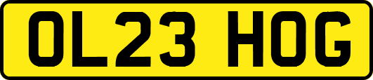 OL23HOG
