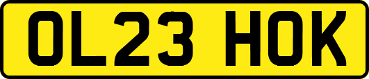 OL23HOK