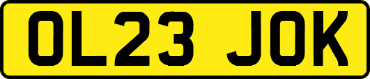 OL23JOK