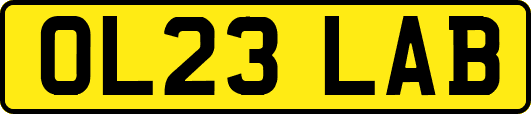 OL23LAB