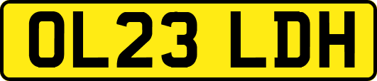 OL23LDH