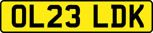 OL23LDK