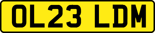 OL23LDM